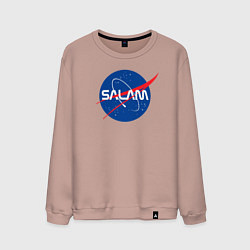 Свитшот хлопковый мужской SALAM, цвет: пыльно-розовый