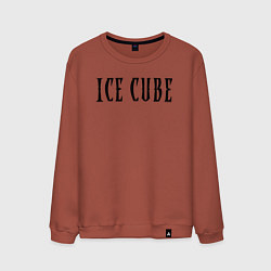 Свитшот хлопковый мужской Ice Cube - logo, цвет: кирпичный