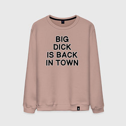 Свитшот хлопковый мужской BIG DICK IS BАCK TOWN, цвет: пыльно-розовый