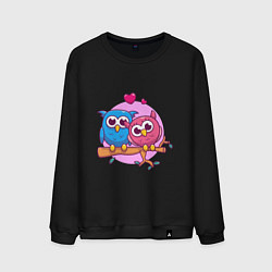 Свитшот хлопковый мужской Влюблённые Совы, цвет: черный