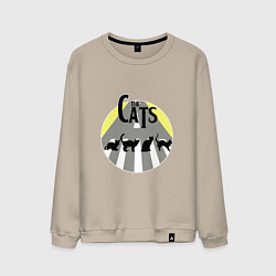 Мужской свитшот The Cats