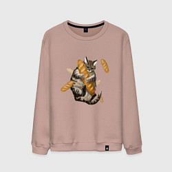 Свитшот хлопковый мужской Котик и батон, цвет: пыльно-розовый