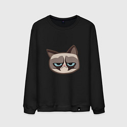 Свитшот хлопковый мужской Мем недовольный кот, цвет: черный