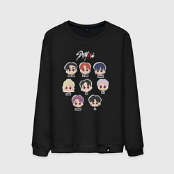 Мужской свитшот Stray Kids Chibi