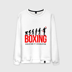 Мужской свитшот Boxing evolution