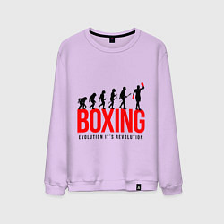 Мужской свитшот Boxing evolution