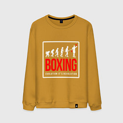 Мужской свитшот Boxing evolution its revolution