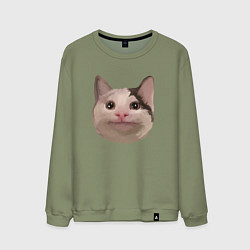 Свитшот хлопковый мужской Polite cat meme, цвет: авокадо