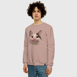 Свитшот хлопковый мужской Polite cat meme, цвет: пыльно-розовый — фото 2