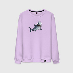 Свитшот хлопковый мужской Удивлённая акула, цвет: лаванда