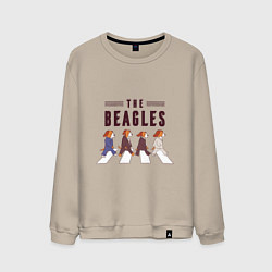 Свитшот хлопковый мужской Beagles, цвет: миндальный