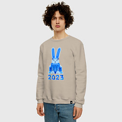 Свитшот хлопковый мужской Геометрический синий кролик 2023, цвет: миндальный — фото 2