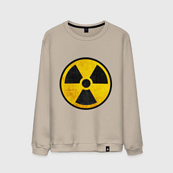 Мужской свитшот Atomic Nuclear
