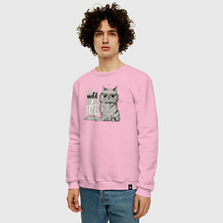 Свитшот хлопковый мужской Дикий и свободный кот, цвет: светло-розовый — фото 2
