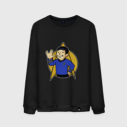 Мужской свитшот Spoke - vault boy