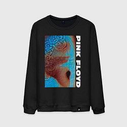 Свитшот хлопковый мужской Pink Floyd Meddle, цвет: черный