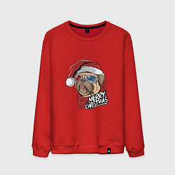 Мужской свитшот Pug merry christmas