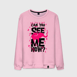 Мужской свитшот Неужели ты меня не видишь