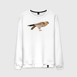 Мужской свитшот Сокол птица