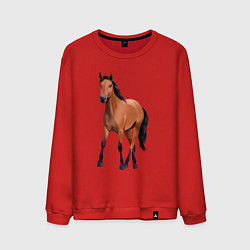 Свитшот хлопковый мужской Кигер-мустанг, цвет: красный