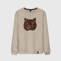 Свитшот хлопковый мужской КЗТ Килиан, цвет: миндальный