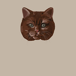 Свитшот хлопковый мужской КЗТ Килиан, цвет: миндальный — фото 2