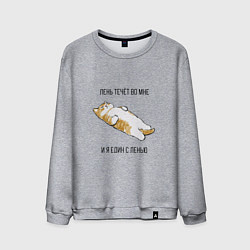 Свитшот хлопковый мужской Лень течёт во мне - котик, цвет: меланж