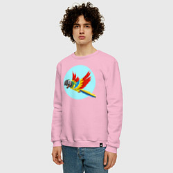 Свитшот хлопковый мужской Красочный попугай, цвет: светло-розовый — фото 2