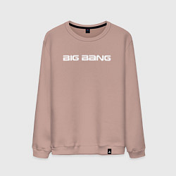 Мужской свитшот Big bang белый логотип