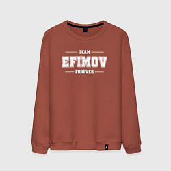 Свитшот хлопковый мужской Team Efimov forever - фамилия на латинице, цвет: кирпичный