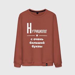Свитшот хлопковый мужской Нутрициолог с очень большой буквы, цвет: кирпичный