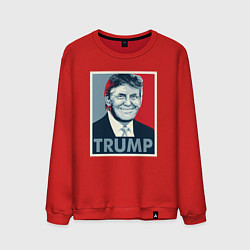 Мужской свитшот Trump
