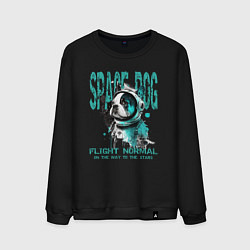 Свитшот хлопковый мужской Космический пес, цвет: черный