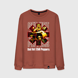 Мужской свитшот RHCP rock