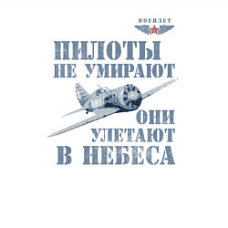 Свитшот хлопковый мужской Пилоты не умирают, цвет: белый — фото 2