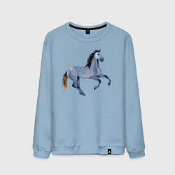 Свитшот хлопковый мужской Андалузская лошадь, цвет: мягкое небо