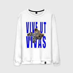 Свитшот хлопковый мужской Vive ut vivas, цвет: белый