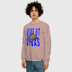 Свитшот хлопковый мужской Vive ut vivas, цвет: пыльно-розовый — фото 2