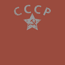 Свитшот хлопковый мужской СССР grey, цвет: кирпичный — фото 2