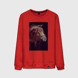 Свитшот хлопковый мужской Лошадь во всей красе, цвет: красный