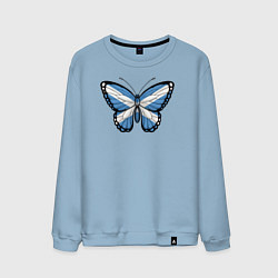 Свитшот хлопковый мужской Шотландия бабочка, цвет: мягкое небо