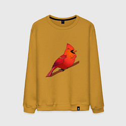 Свитшот хлопковый мужской Птица красный кардинал, цвет: горчичный
