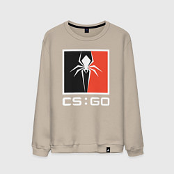 Свитшот хлопковый мужской CS spider, цвет: миндальный