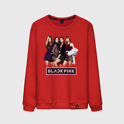 Свитшот хлопковый мужской Rose Blackpink kpop, цвет: красный