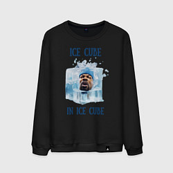 Мужской свитшот Ice Cube in ice cube