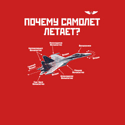 Свитшот хлопковый мужской Почему самолет летает?, цвет: красный — фото 2