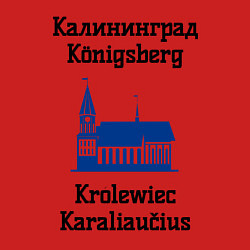 Свитшот хлопковый мужской Калининград, цвет: красный — фото 2