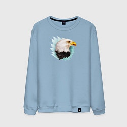 Свитшот хлопковый мужской Белоголовый орёл, цвет: мягкое небо