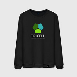 Мужской свитшот Tricell Inc