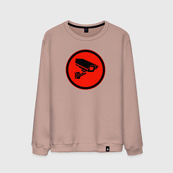 Свитшот хлопковый мужской Skibidi toilet Камера, цвет: пыльно-розовый